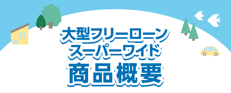 フリーローン商品概要