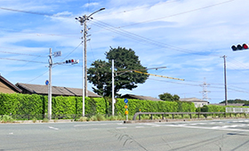 一里山